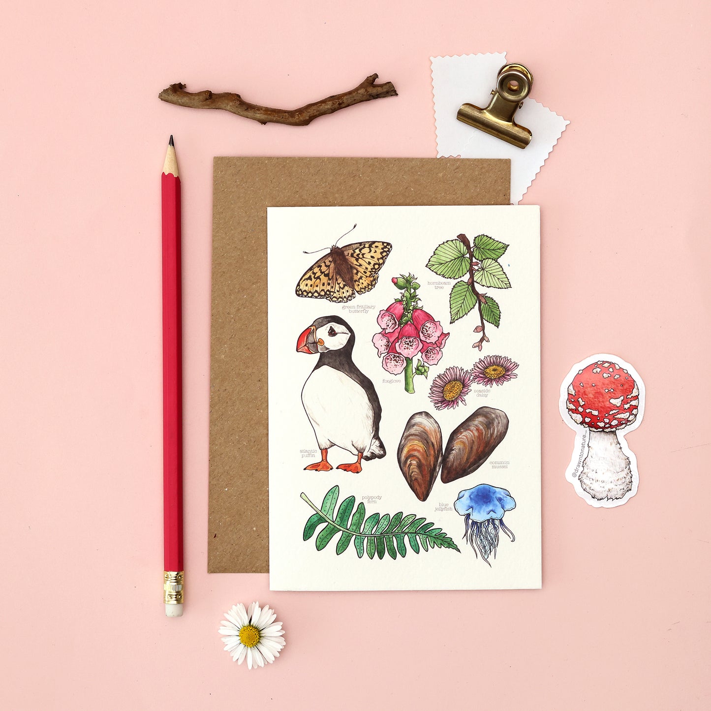 Coastal Nature Card