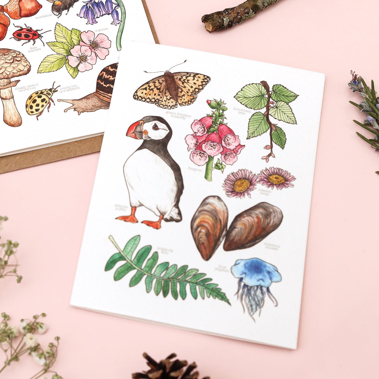 Coastal Nature Card