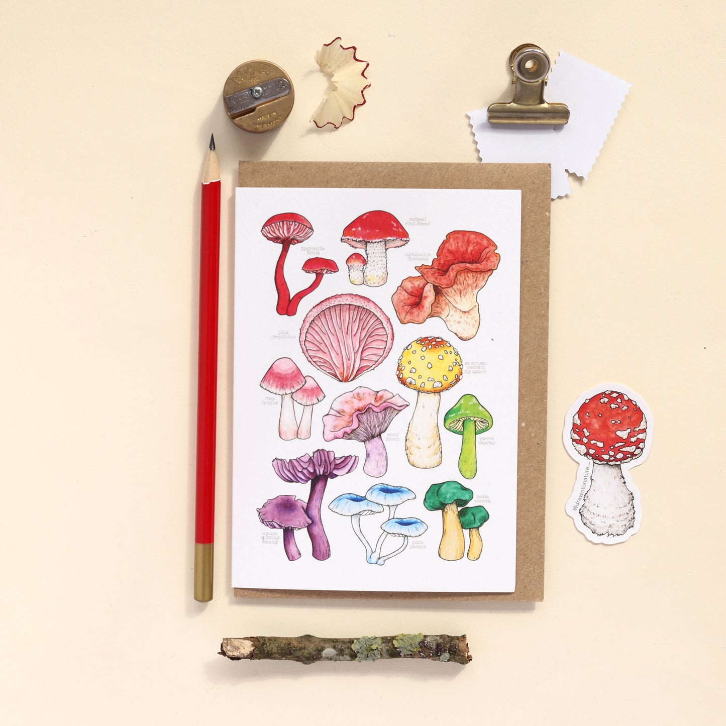 Rainbow Mushrooms Card