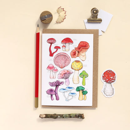 Rainbow Mushrooms Card