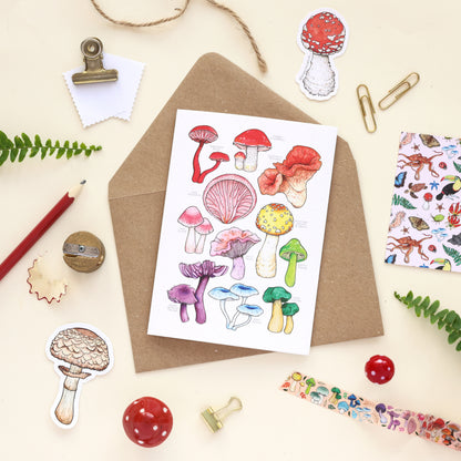 Rainbow Mushrooms Card