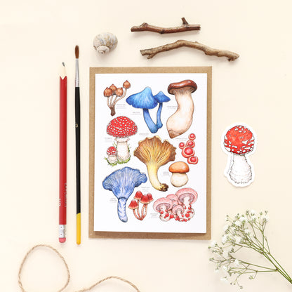 Mushrooms Species Card