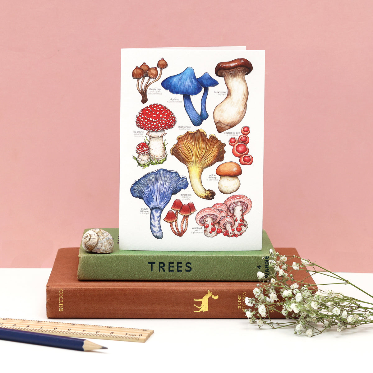 Mushrooms Species Card