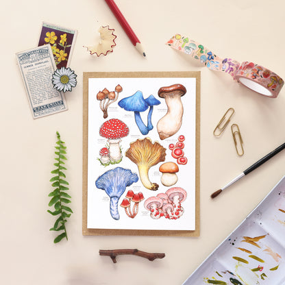 Mushrooms Species Card