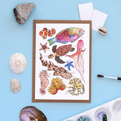 Great Barrier Reef Card