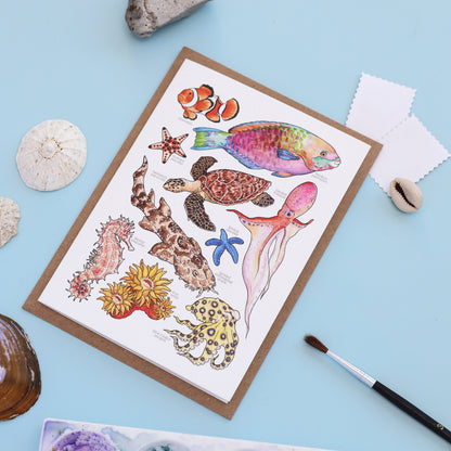 Great Barrier Reef Card