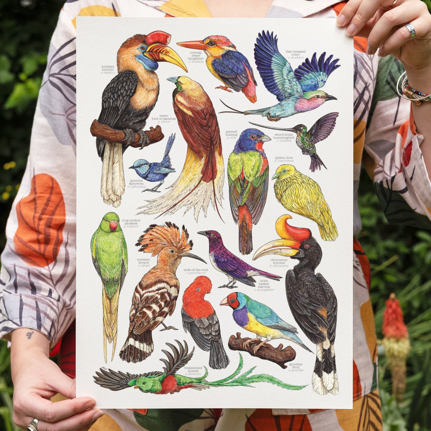 Brilliant Birds Print