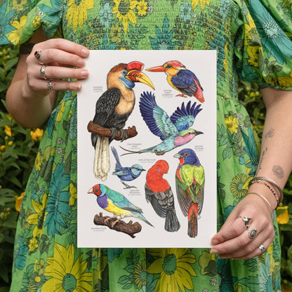 Brilliant Birds Print