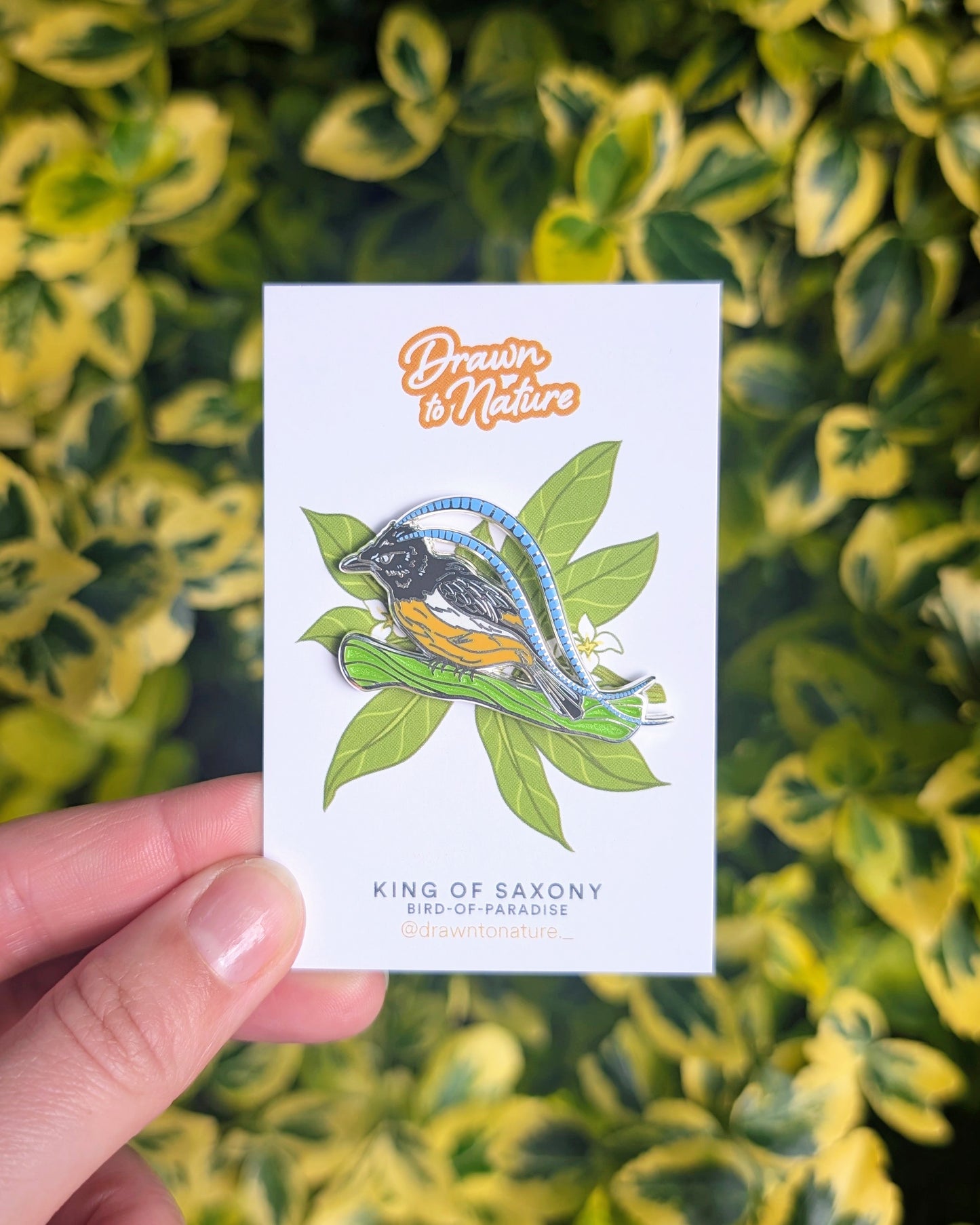 Bird Enamel Pin Pair