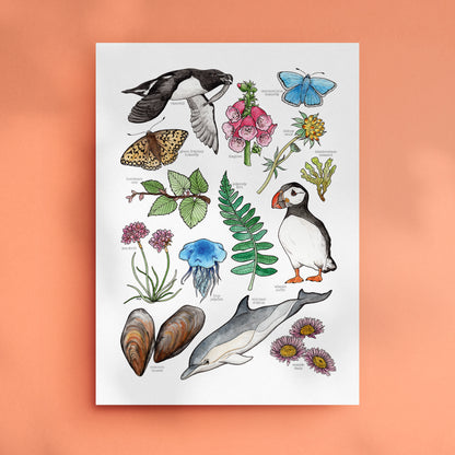 Coastal Nature Print