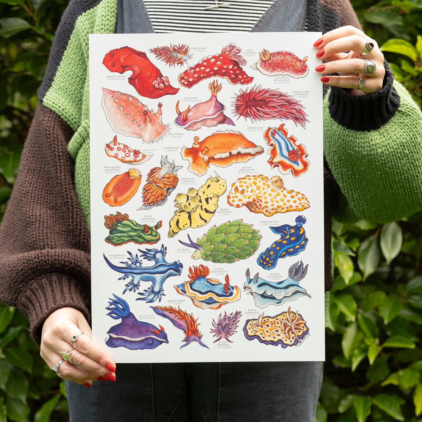 Rainbow Sea Slugs Print