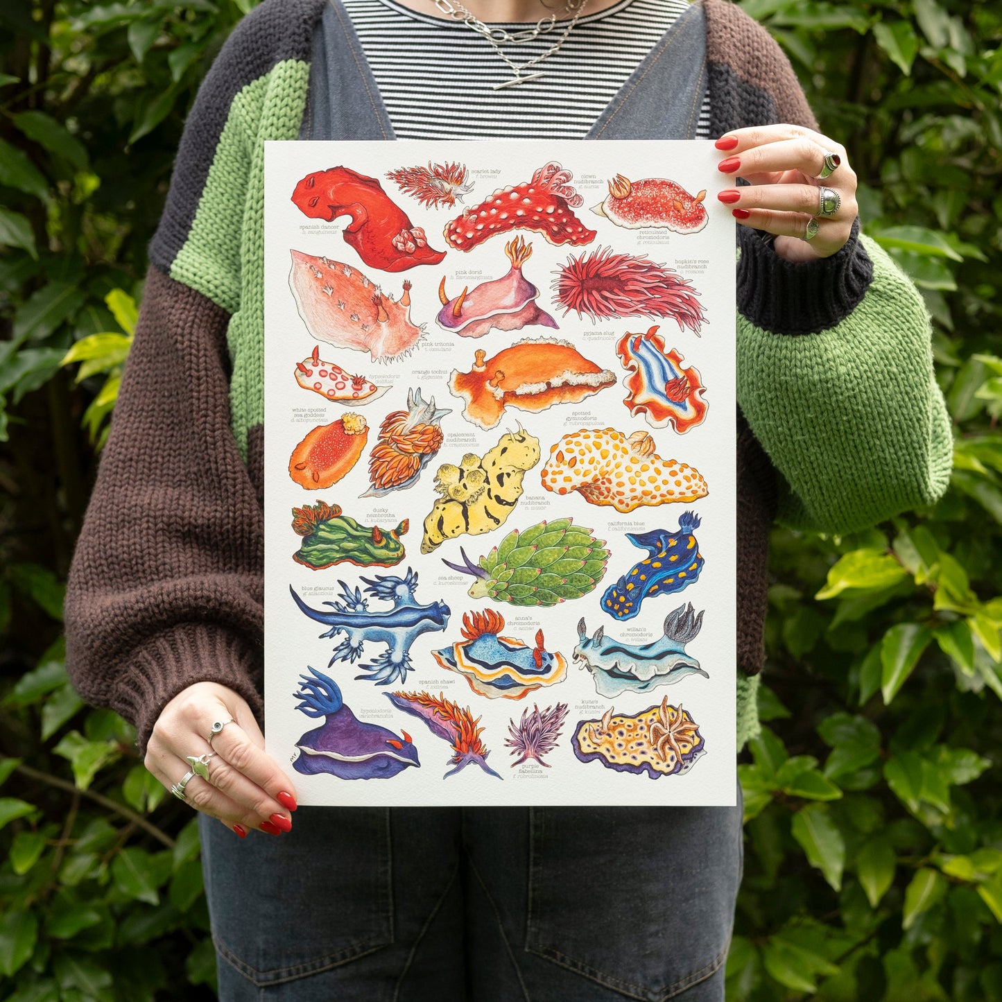 Rainbow Sea Slugs Print