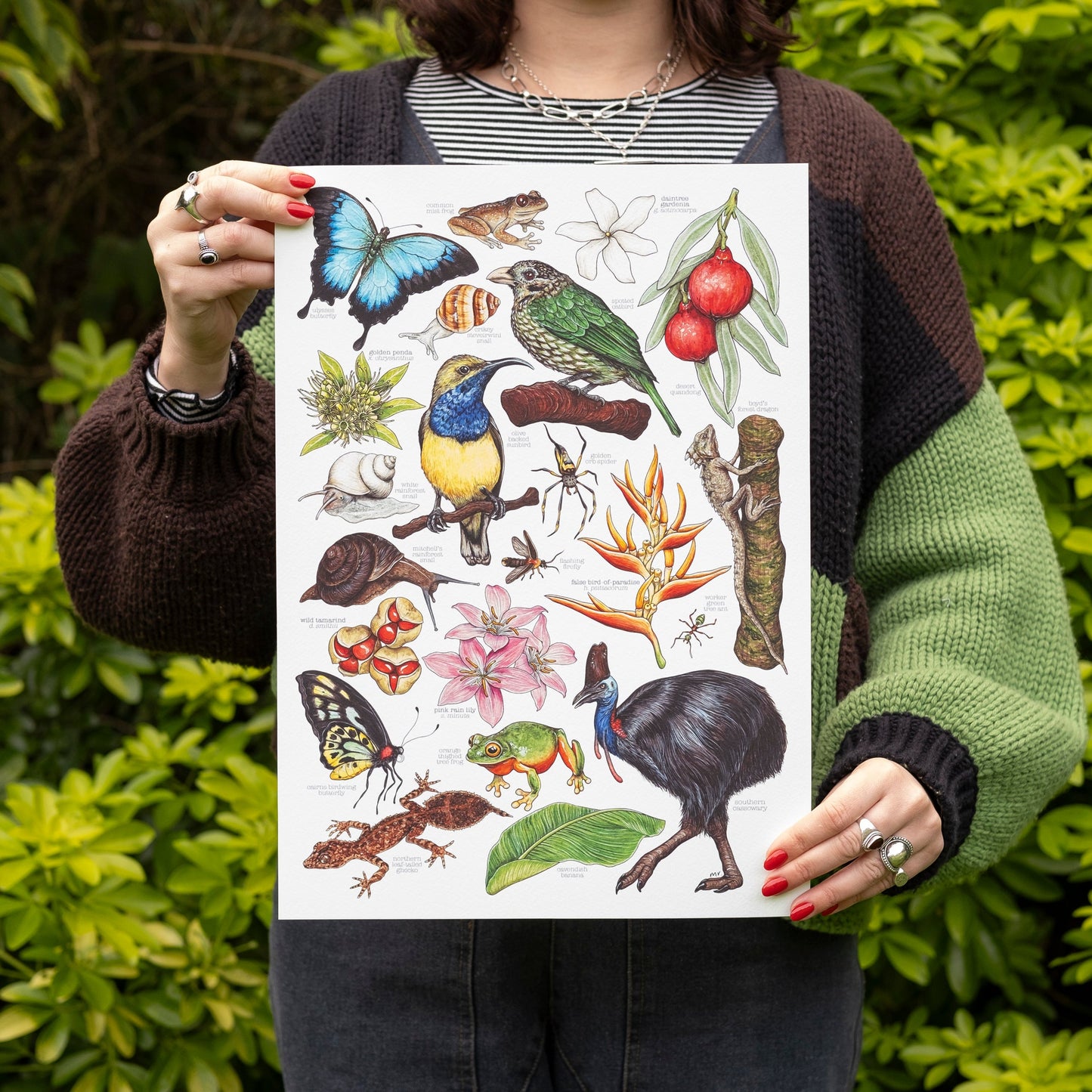 Australian Rainforest Print