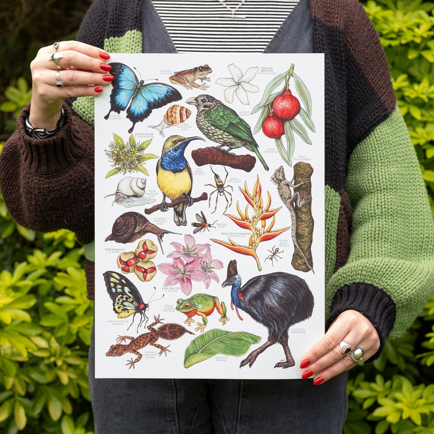 Australian Rainforest Print