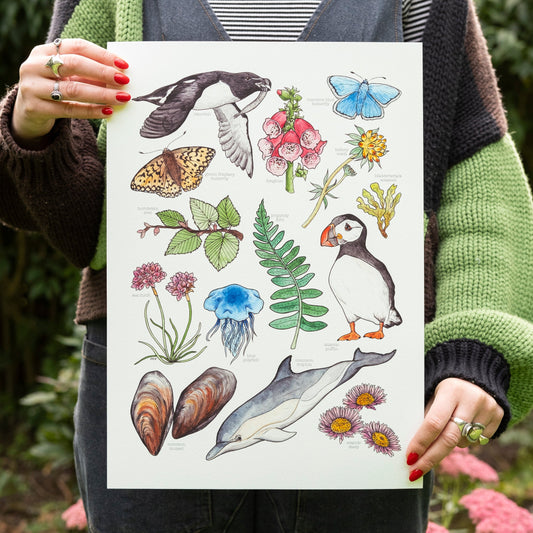 Coastal Nature Print