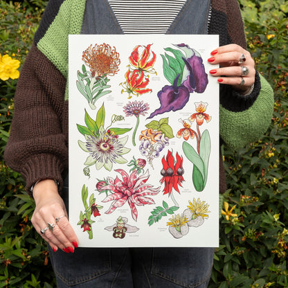 Unusual Flora Print