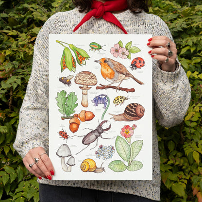 British Wildlife Print