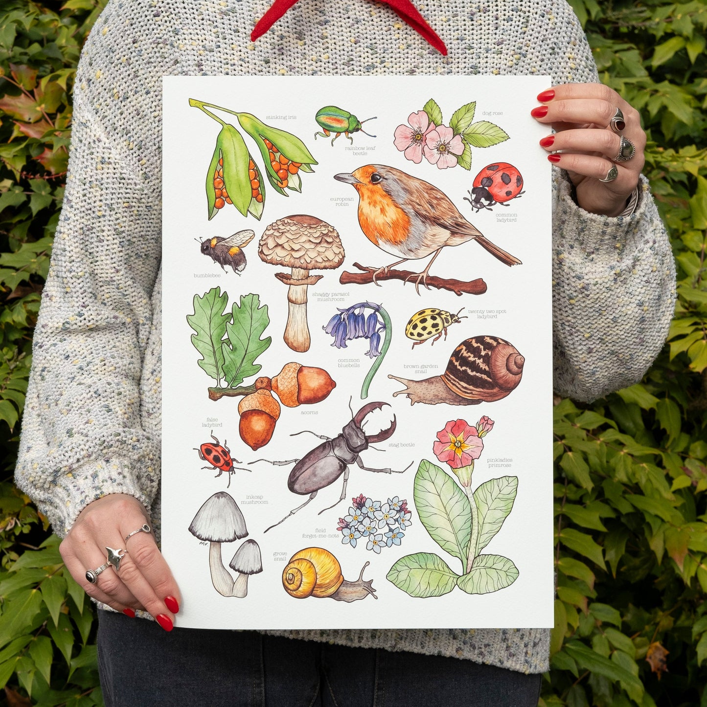 British Wildlife Print