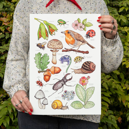 British Wildlife Print