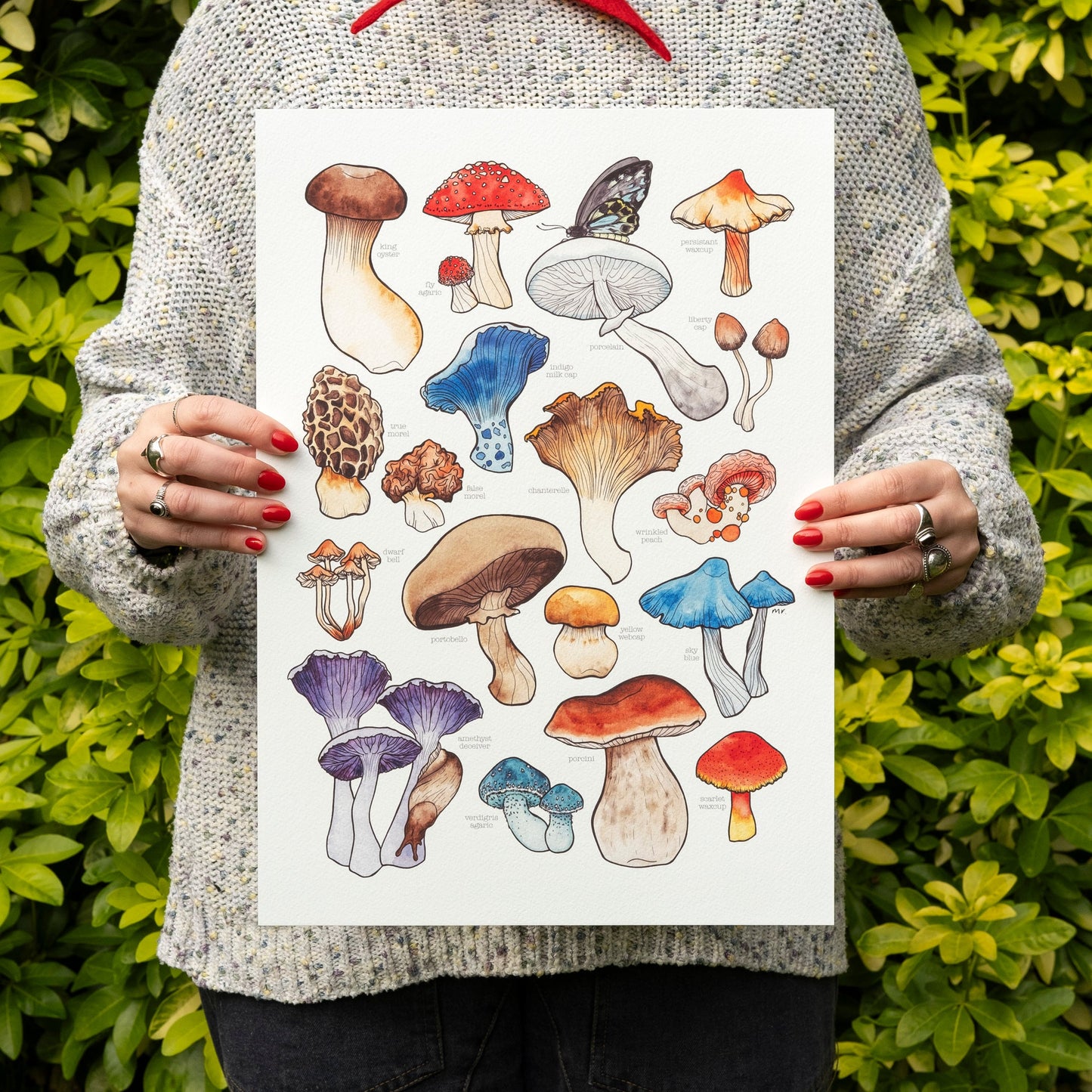 Mushrooms Print