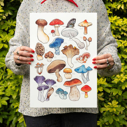 Mushrooms Print