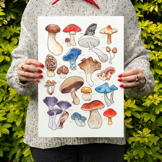 Mushrooms Print
