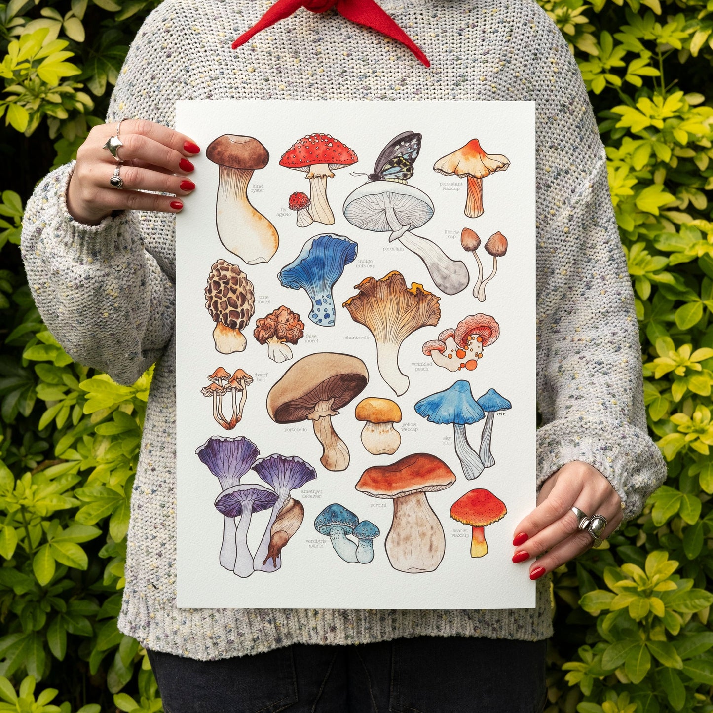 Mushrooms Print