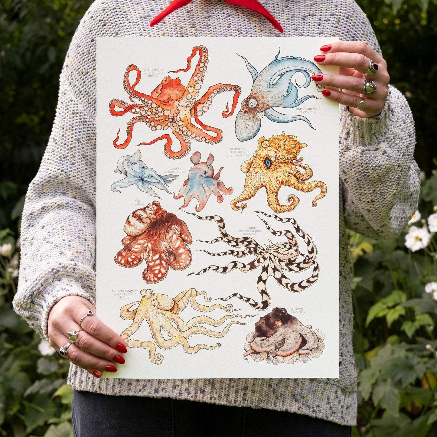 Octopus Species Print