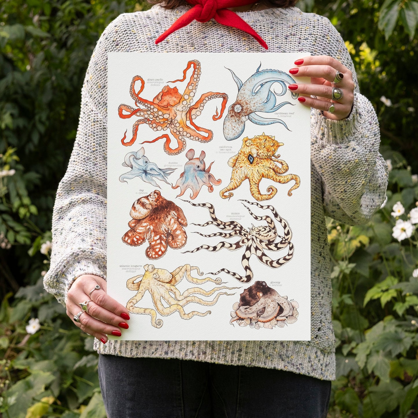 Octopus Species Print