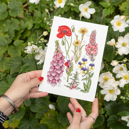 Wildflowers Print