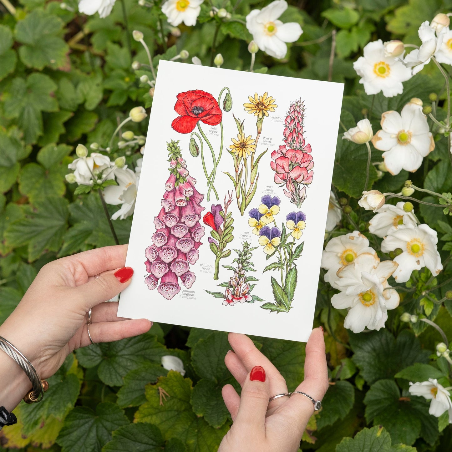 Wildflowers Print