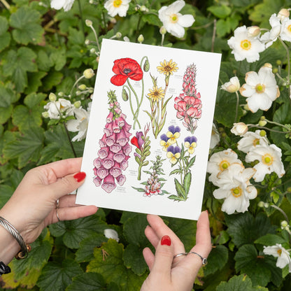 Wildflowers Print
