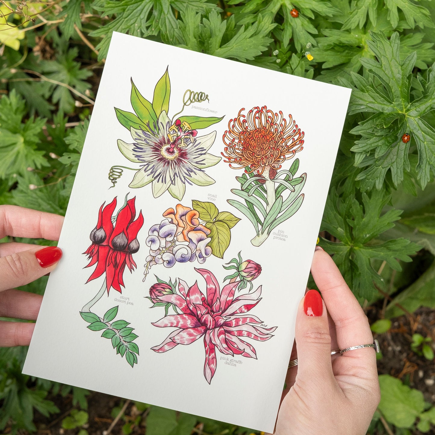 Unusual Flora Print