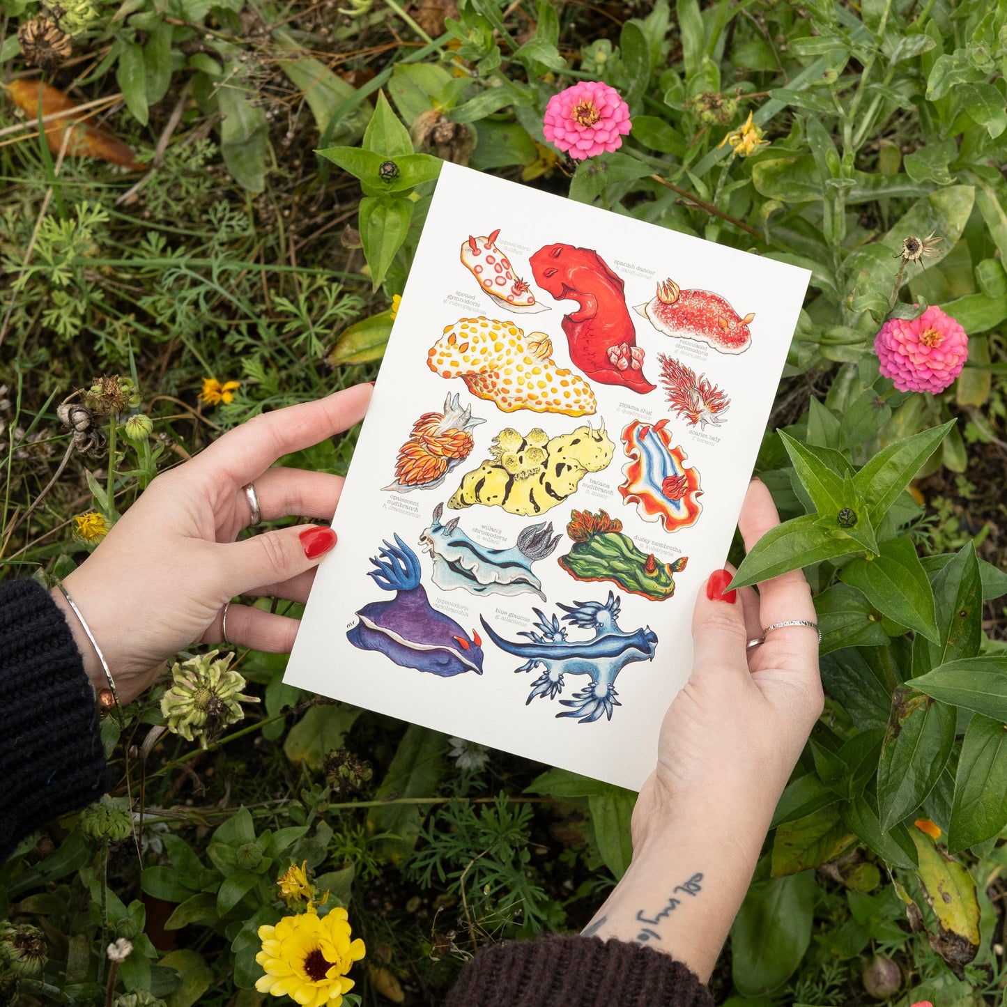 Rainbow Sea Slugs Print