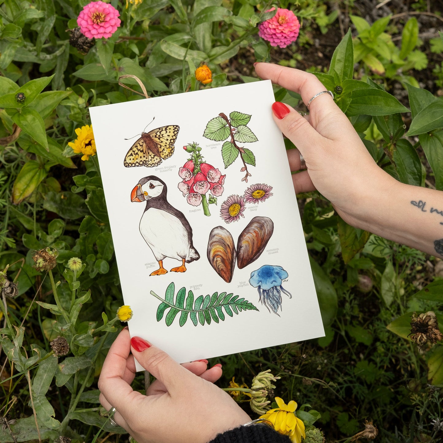 Coastal Nature Print