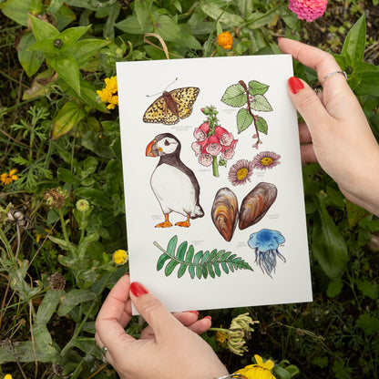 Coastal Nature Print