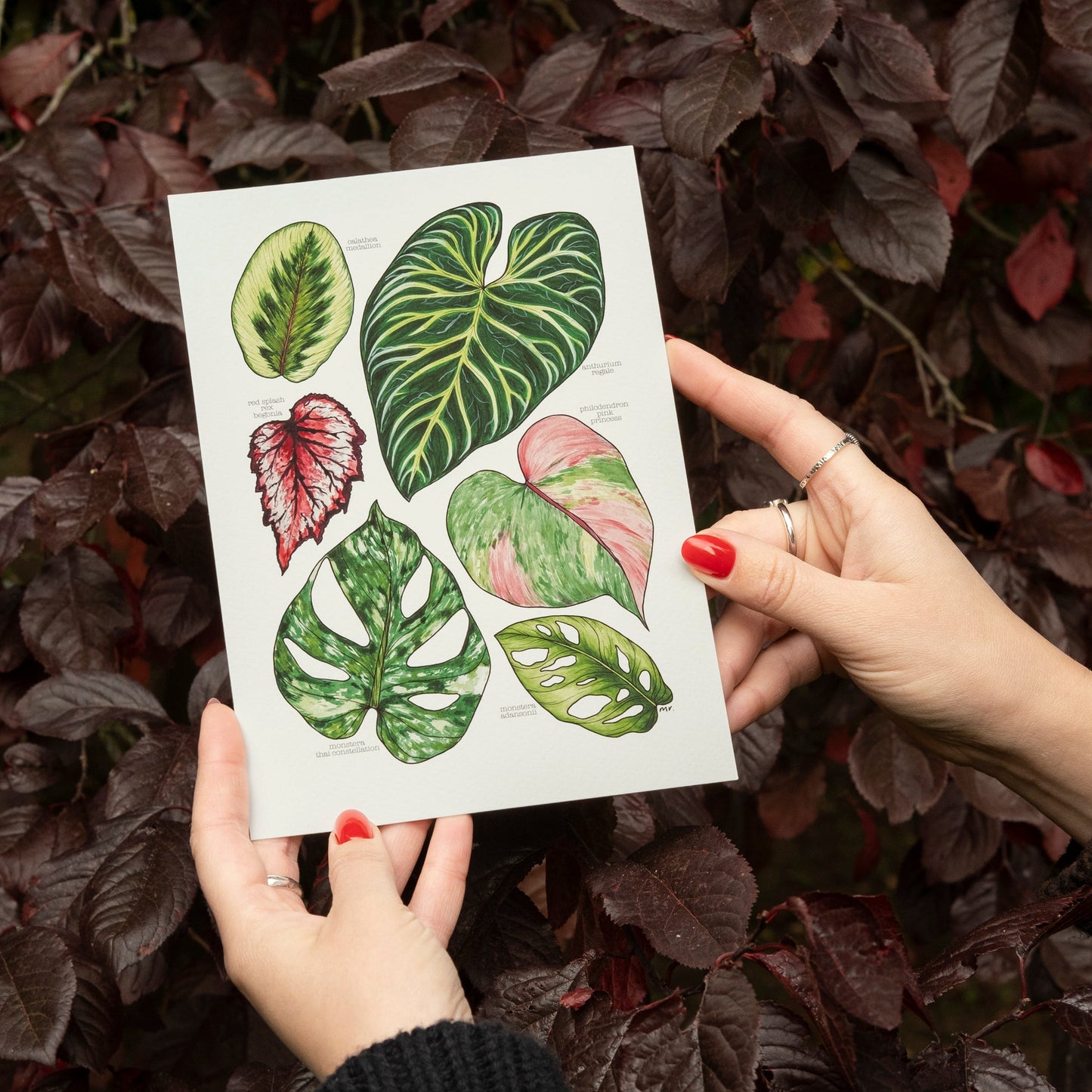 Tropical Leaves Print