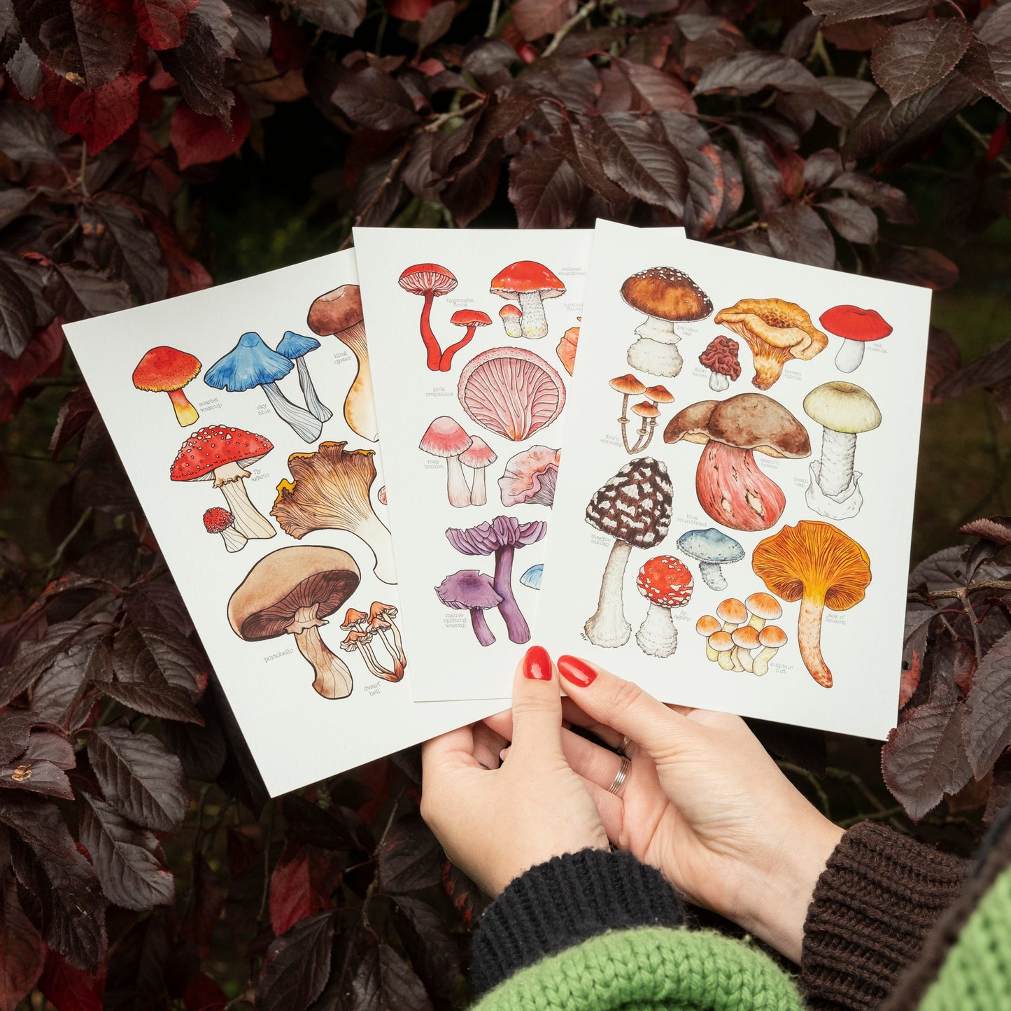 Rainbow Mushroom Print