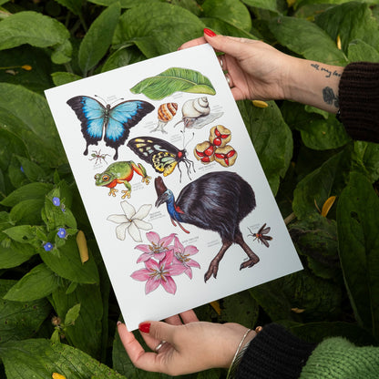 Australian Rainforest Print