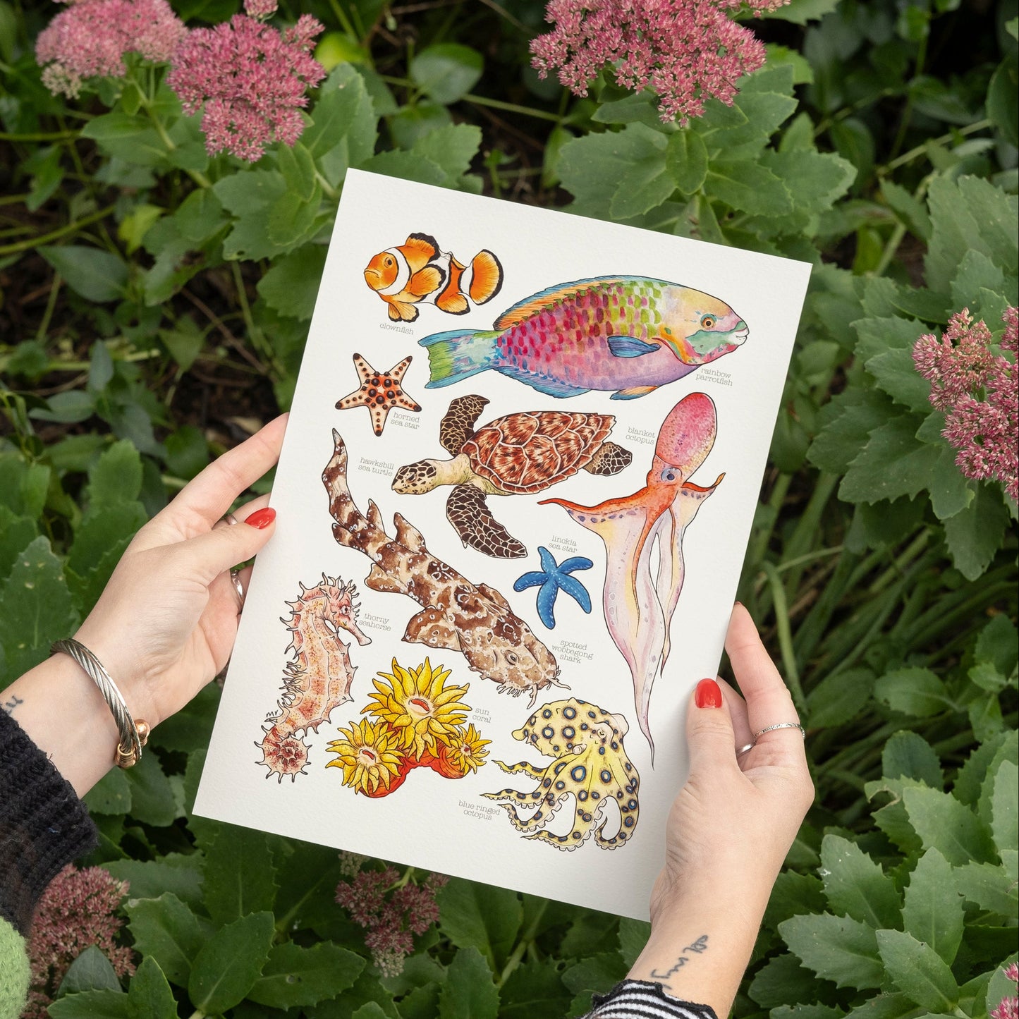 Great Barrier Reef Print