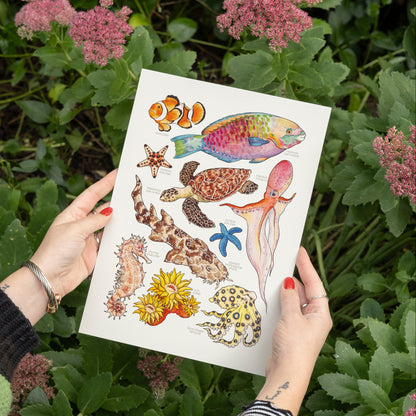 Great Barrier Reef Print