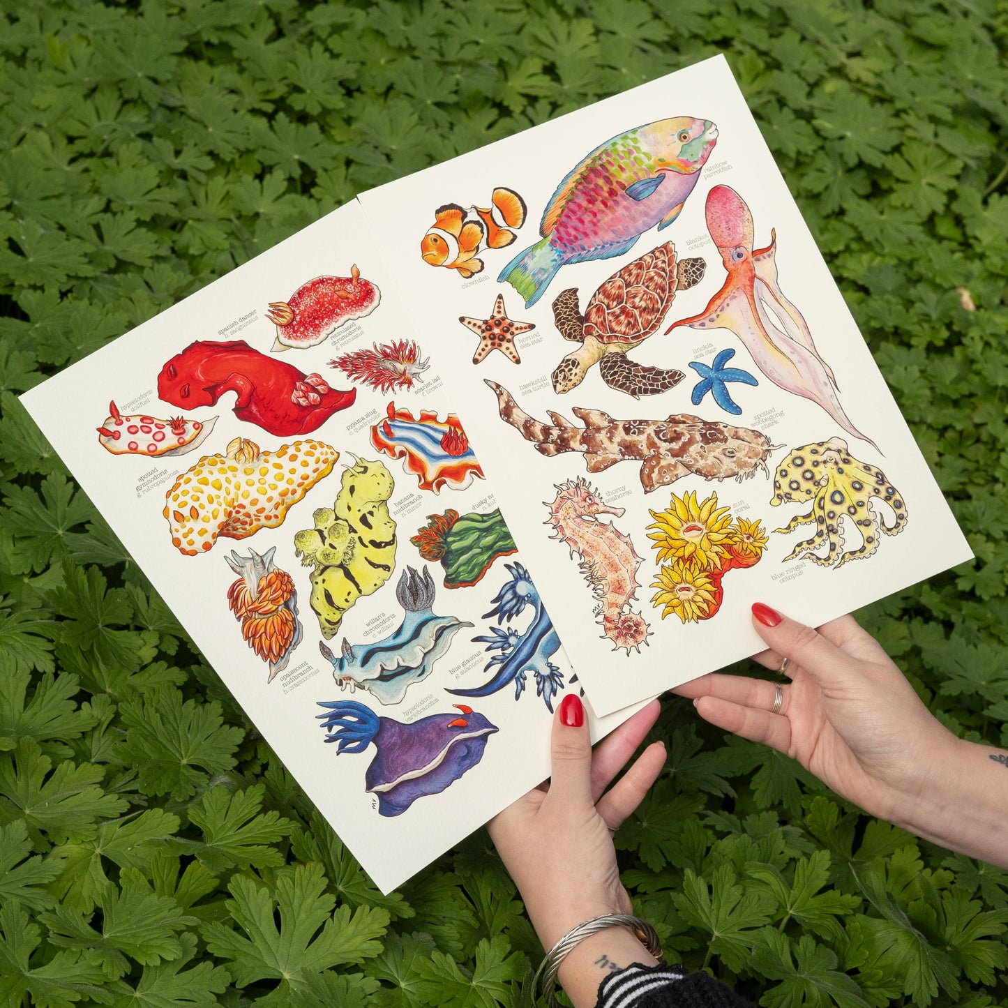 Rainbow Sea Slugs Print