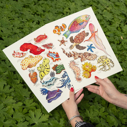 Rainbow Sea Slugs Print