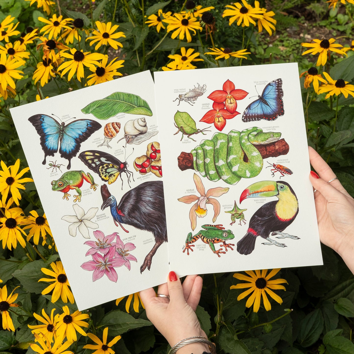 Print Deal - 3x Bundle