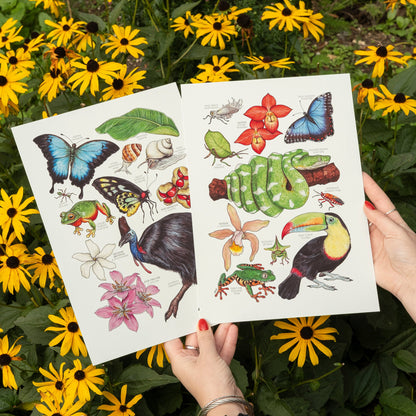 Print Deal - 3x Bundle