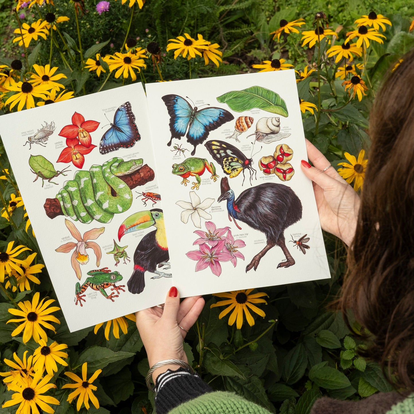 Amazon Rainforest Print