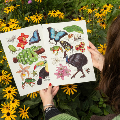 Amazon Rainforest Print