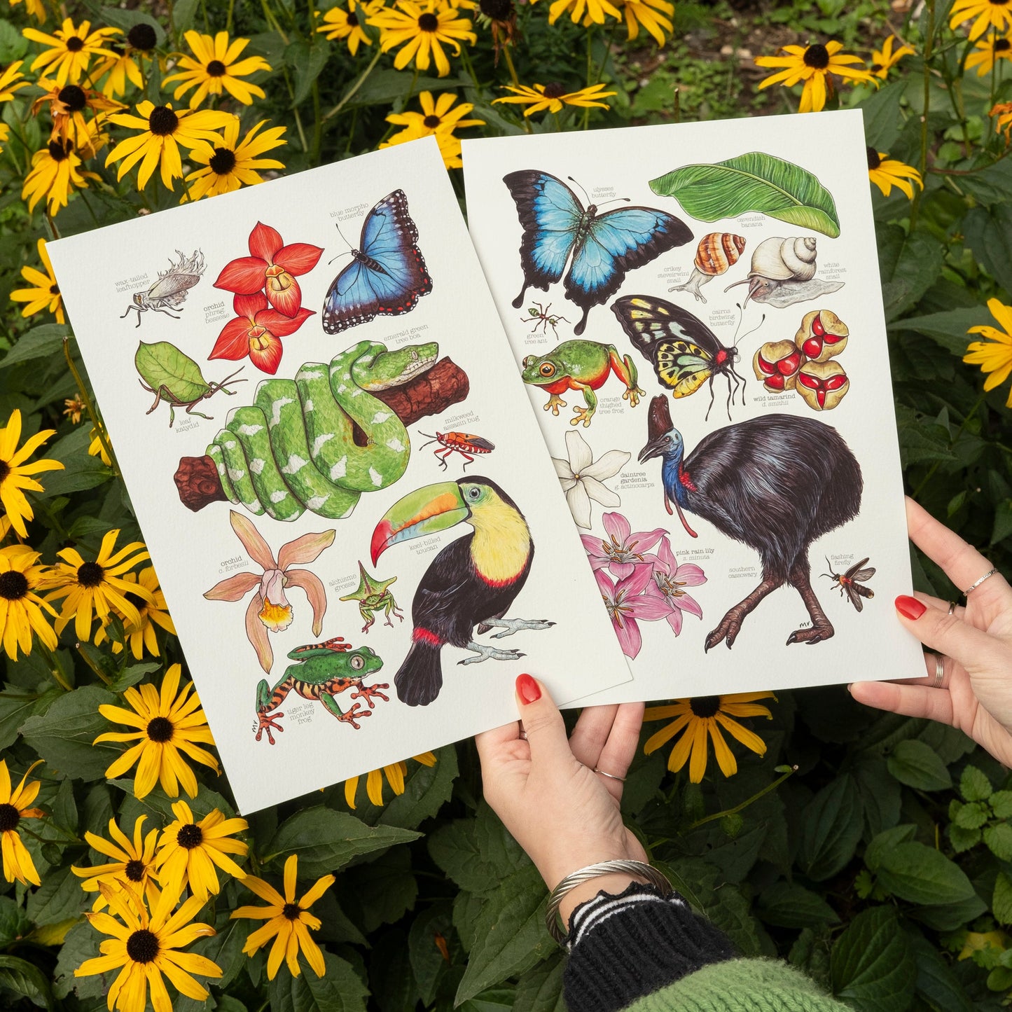 Amazon Rainforest Print