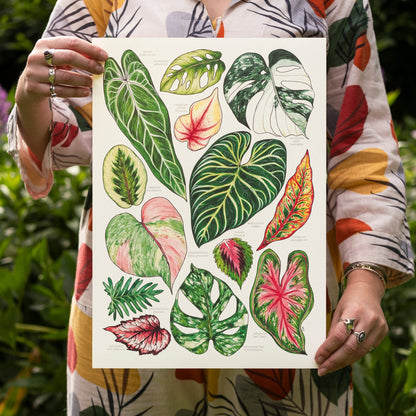 Tropical Leaves Print