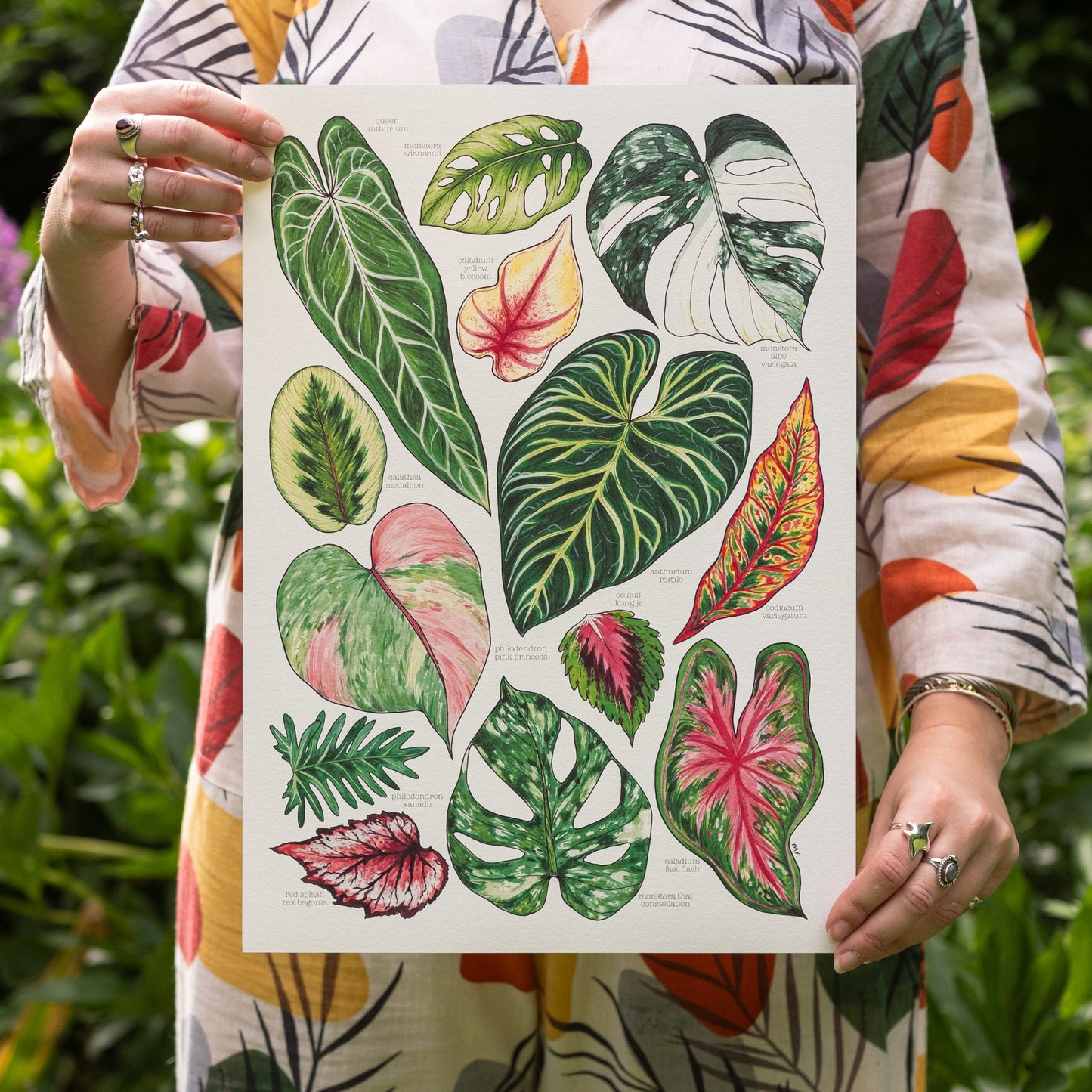 Tropical Leaves Print
